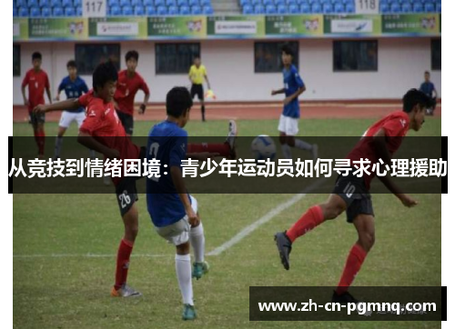 从竞技到情绪困境：青少年运动员如何寻求心理援助