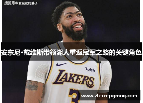 安东尼·戴维斯带领湖人重返冠军之路的关键角色 安东尼·戴维斯带领湖人重返冠军之路的关键角色