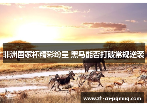非洲国家杯精彩纷呈 黑马能否打破常规逆袭 非洲国家杯精彩纷呈 黑马能否打破常规逆袭