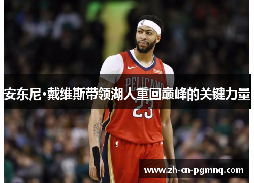 安东尼·戴维斯带领湖人重回巅峰的关键力量 安东尼·戴维斯带领湖人重回巅峰的关键力量