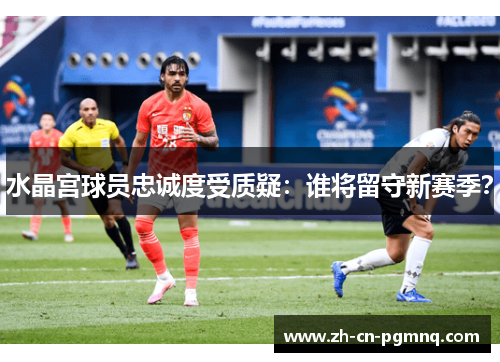 水晶宫球员忠诚度受质疑：谁将留守新赛季？
