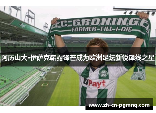 阿历山大·伊萨克崭露锋芒成为欧洲足坛新锐锋线之星 阿历山大·伊萨克崭露锋芒成为欧洲足坛新锐锋线之星